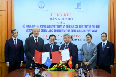 WIPO và Bộ KH&CN cùng xây dựng Chiến lược quốc gia về sở hữu trí tuệ Việt Nam
