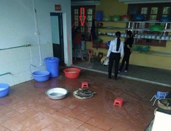 Công an điều tra vụ bé 4 tuổi bị dọa thả vào máy vặt lông gà