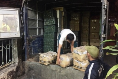 Buôn trái cây TQ từ 4h sáng vẫn không qua mặt được CSGT Quảng Ninh