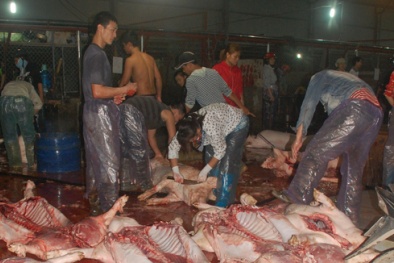 76% thịt lợn ở Việt Nam được giết mổ từ cơ sở nhỏ lẻ kém vệ sinh