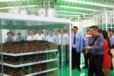 VN có nhà máy sản xuất nước giải khát công nghệ tối tân nhất thế giới