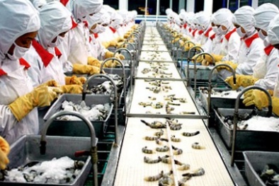 Lợi ích khi áp dụng công cụ kiểm soát an toàn vệ sinh thực phẩm HACCP