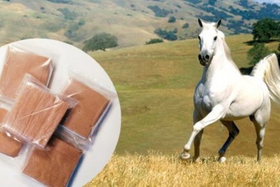 Cao xương ngựa trị suy nhược cơ thể