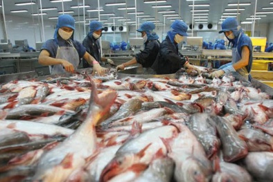  Bình chọn danh hiệu 'Chất lượng vàng Thủy sản Việt Nam'