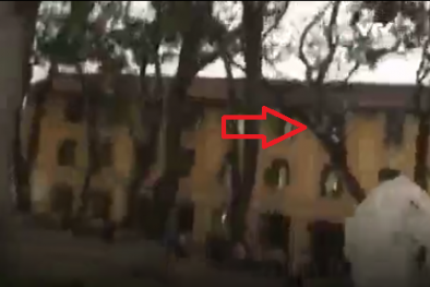 Hiện trường cây xà cử đổ ở trường Chu Văn An khiến 4 học sinh bị thương