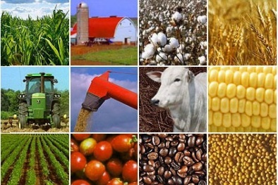 Lý do khiến hàng hóa Việt Nam được tin dùng hơn hàng Trung Quốc