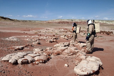 NASA bất ngờ công bố nghiên cứu về sự sống trên sao Hỏa