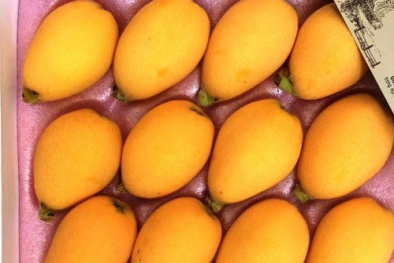 Gần 4 triệu đồng một kg nhót Nhật