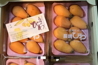 Quả Biwa Nhật Bản 4 triệu/kg vừa xuất hiện ở Việt Nam có gì 'hot'?