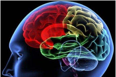 Não ‘chết’ dần vì hàng loạt thói quen hàng ngày