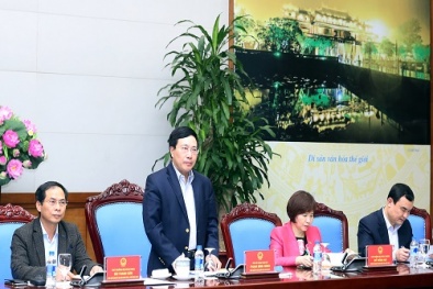 Tập trung chuẩn bị tốt nhất cho các Hội nghị APEC