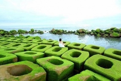 Thảm rêu xanh - địa điểm du lịch mới ở Phú Yên hấp dẫn du khách