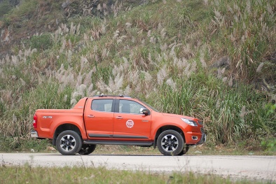 Xe bán tải nhập về Việt Nam tăng mạnh trong những năm gần đây