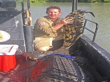 Úc: Cá sấu quái vật 4,2 mét sập bẫy thợ săn