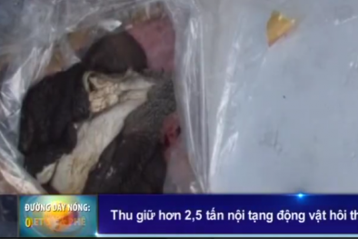 Bắt hơn 2,5 tấn nội tạng động vật thối ngụy trang cực tinh vi