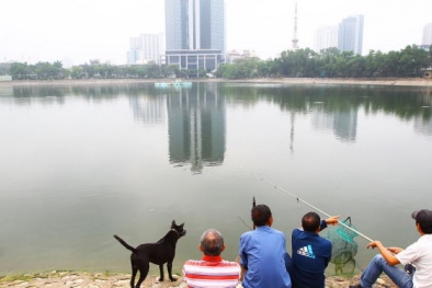 Đề xuất lấp hồ Thành Công: Chuyên gia nói gì?