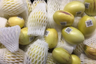 Dân Hà Nội 'phát sốt' với dưa Pepino Đà Lạt