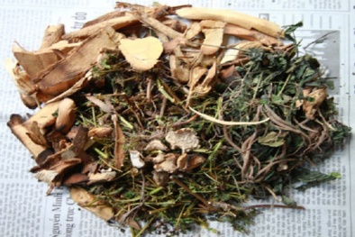 Tin dùng thuốc nam, một người phụ nữ bị liệt tứ chi do ngộ độc chì nặng