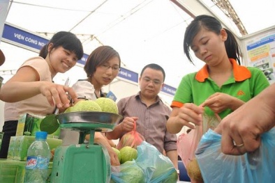 Tìm hướng đi cho đổi mới sáng tạo trong thương mại hóa công nghệ