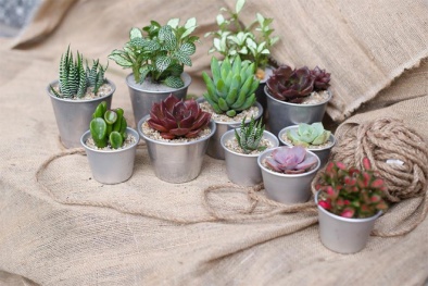 4 vật đại kỵ tuyệt đối không để trong nhà