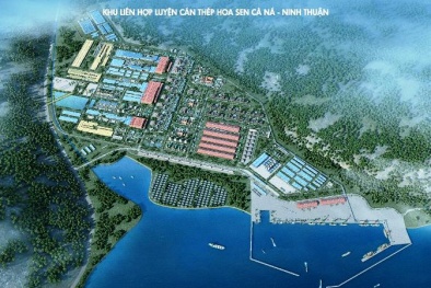 Dừng Dự án thép Cà Ná của Tập đoàn Hoa Sen để làm rõ một số vấn đề