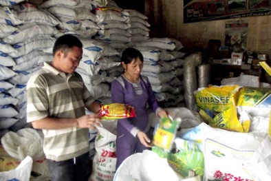 Giải pháp cấp bách trong quản lý chất lượng vật tư nông nghiệp