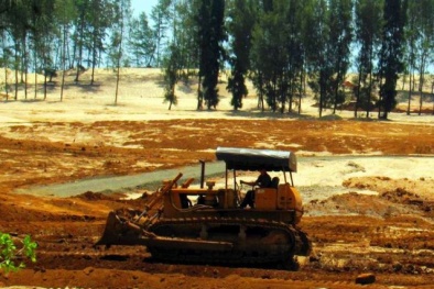 Tỉnh Phú Yên chính thức lên tiếng vụ phá rừng phòng hộ làm sân golf thi Hoa hậu