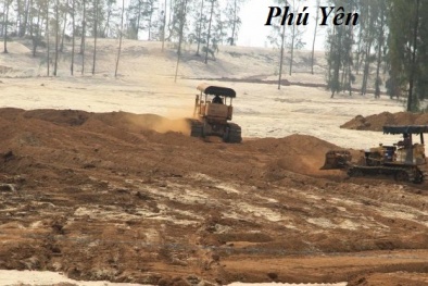 Bộ Công an vào cuộc điều tra vụ phá rừng phòng hộ ở Phú Yên