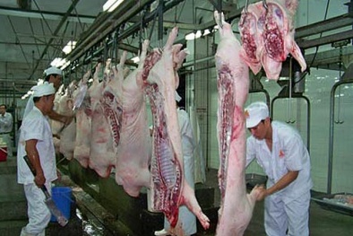 Phó Thủ tướng yêu cầu đẩy mạnh xuất khẩu thịt lợn