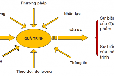 Tám bước quản lý quá trình theo ISO 9001:2015
