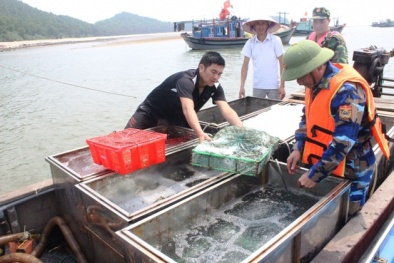 Thu mua hải sản ở Quảng Ninh rồi tuồn sang Trung Quốc bán kiếm lời