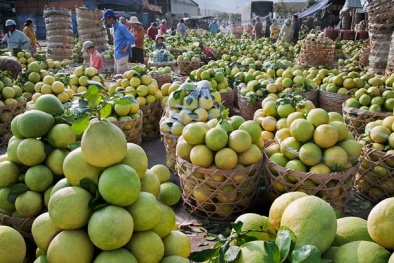 UAE cấm nhập một số rau quả từ Trung Đông, cơ hội cho hàng Việt