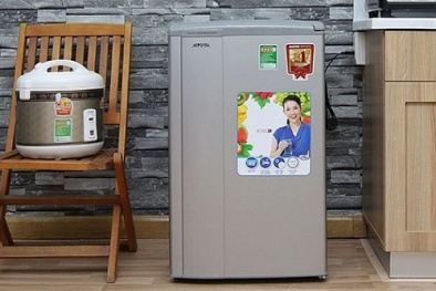 Tại sao nên mua một chiếc tủ lạnh mini cho căn nhà của bạn?