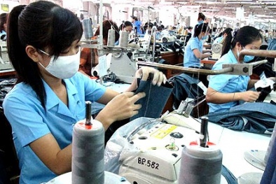 APEC thúc đẩy doanh nghiệp vừa và nhỏ vào thương mại quốc tế