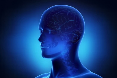 Phát hiện mới: Khiếm khuyết não liên quan tới vi khuẩn ruột