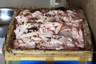 Kiểm tra xe vi phạm, phát hiện 1,6 tấn nội tạng lợn bốc mùi kinh khủng