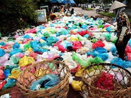 [Infographic] Trẻ lệch lạc giới tính, vô sinh vì ăn thực phẩm đựng trong túi nilon