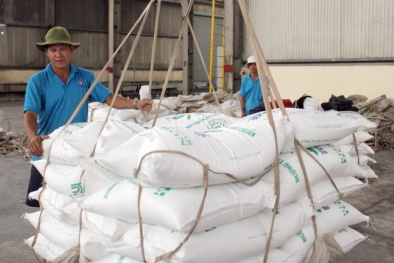 Lượng đường tồn kho cao kỷ lục: Hiệp hội Mía đường nêu nguyên nhân