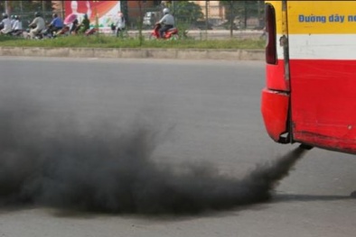 Khí thải động cơ diesel thay đổi cấu trúc của tim