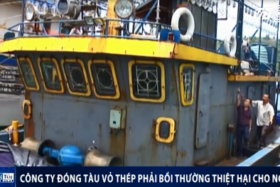 Tàu vỏ thép 'đắp chiếu' ở Bình Định: Công ty đóng tàu đánh tráo thép Trung Quốc