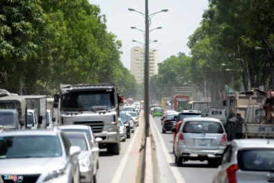 Chuyển 1.000 cây đường Phạm Văn Đồng: Sẽ dùng công nghệ mới để cứu cây 