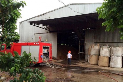 Quảng Ninh: ‘Bà hỏa’ thiêu rụi xưởng sản xuất mùn cưa của Công ty CP ECO Việt Nam