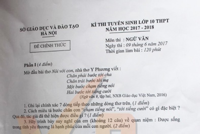 Đáp án đề thi môn Văn tuyển sinh lớp 10 Hà Nội năm học 2017 - 2018