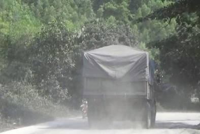 20 ngày tổng kiểm tra xe quá tải, Quảng Ninh xử phạt được trên 3,2 tỷ đồng