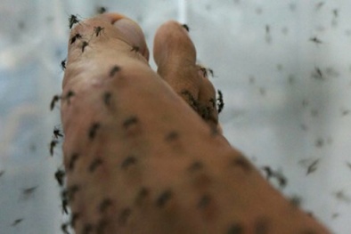 Rùng mình 'sát thủ giết người' khiến nhân loại kinh hãi