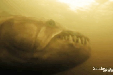 Kinh ngạc 'thủy quái Amazon' dễ dàng 'xé xác' cá sấu 