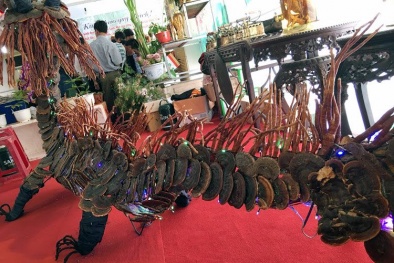 'Con rồng' từ nấm lim xanh giá 100 triệu hiếm có tại phiên chợ sâm ở Quảng Nam