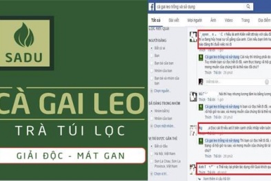 Doanh nghiệp gây sốc bằng cách chửi đồng bào 'ngu và ác'