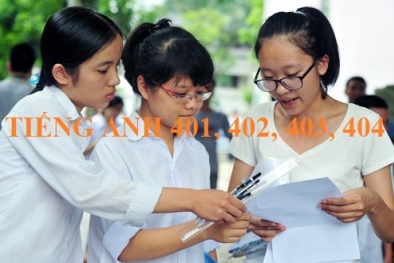 Đáp án môn Tiếng Anh mã đề 401, 402, 403, 404 THPT Quốc gia 2017 chuẩn nhất