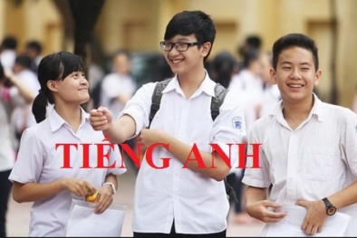 Đáp án môn Tiếng Anh của Bộ Giáo dục và Đào tạo tất cả 24 mã đề